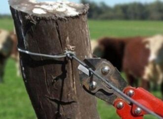 En Corrientes preocupa el avance del abigeato: “Empuja a muchos productores a abandonar sus tierras”