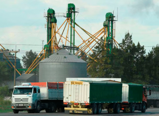 Las retenciones cero impulsaron al comercio de granos y la cantidad transportada crecería un 6% interanual