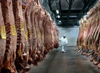 Aumento del cupo de carne con EE.UU dejaría un margen positivo de 2 mil dólares por tonelada para los exportadores