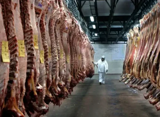 Aumento del cupo de carne con EE.UU dejaría un margen positivo de 2 mil dólares por tonelada para los exportadores