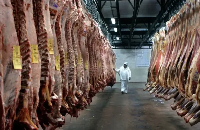 Aumento del cupo de carne con EE.UU dejaría un margen positivo de 2 mil dólares por tonelada para los exportadores