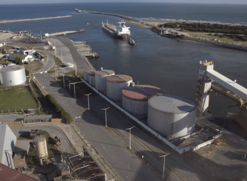 Desregulación agrícola: el Gobierno derogó otras 8 normativas que eran ejecutadas por el Senasa