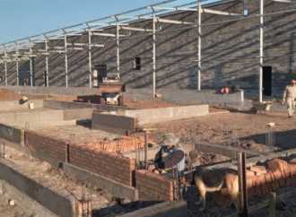 Proyectan instalación de frigorífico en Chaco con una inversión de USD 22 millones