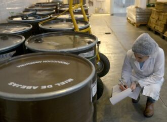 Para hacer dulce: con la miel a la cabeza, las exportaciones apícolas son las más altas en 7 años