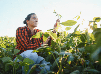 15 de octubre, día internacional de las mujeres rurales