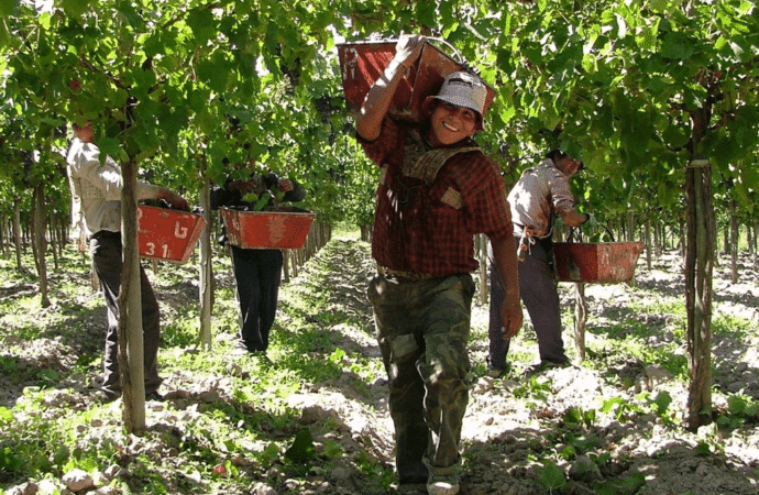 Preocupación en la UATRE: caducó el decreto que permitía trabajar a peones con planes sociales