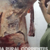 Policía de Corrientes inspecciona carnicerías ante presunta vinculación con el abigeato