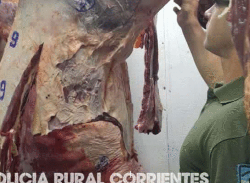 Policía de Corrientes inspecciona carnicerías ante presunta vinculación con el abigeato