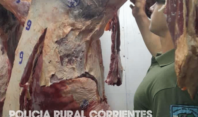 Policía de Corrientes inspecciona carnicerías ante presunta vinculación con el abigeato