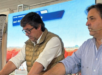 Corrientes marca tendencia nacional con novillitos en $ 3.900 y terneros en $ 4.450
