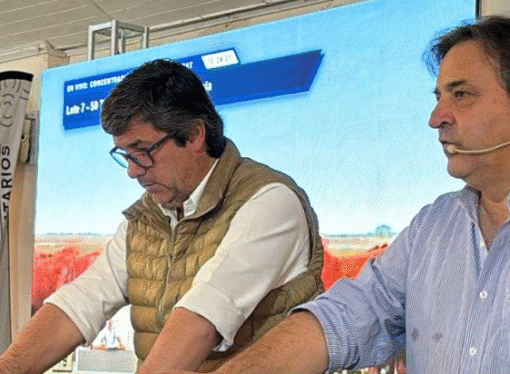 Corrientes marca tendencia nacional con novillitos en $ 3.900 y terneros en $ 4.450