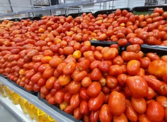 Situación crítica para productores de Corrientes: «Estamos cobrando debajo del 50% del costo»