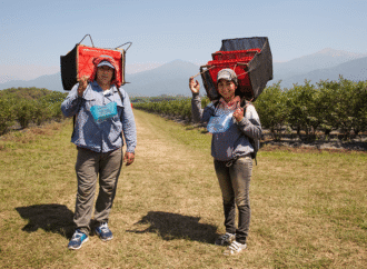 Aumentan 10% la prestación por desempleo para trabajadores rurales: el máximo llegará a $330.000