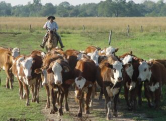 La Argentina celebra hoy el Día del Trabajador Rural, el duro oficio que se reinventa cada día