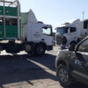 Sanidad animal: dictan nuevas normas para playas de lavado y desinfección de transportes de hacienda
