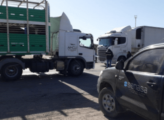 Sanidad animal: dictan nuevas normas para playas de lavado y desinfección de transportes de hacienda