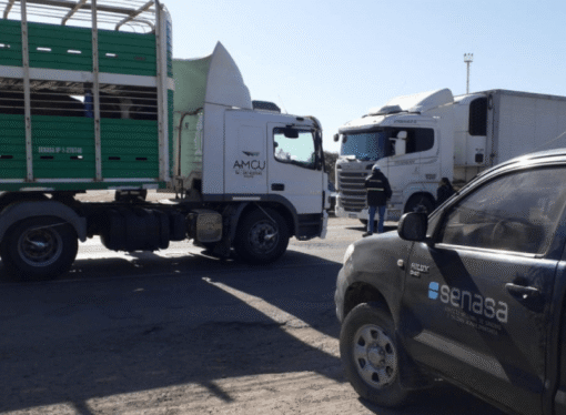 Sanidad animal: dictan nuevas normas para playas de lavado y desinfección de transportes de hacienda