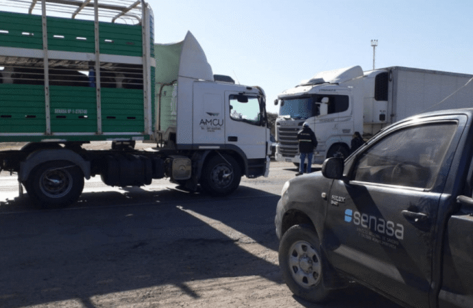 Sanidad animal: dictan nuevas normas para playas de lavado y desinfección de transportes de hacienda