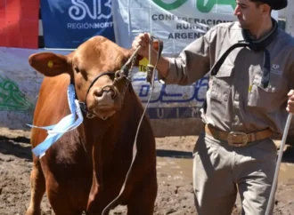 Corrientes le pide al Gobierno Nacional una «agenda productiva consensuada» para las economías regionales