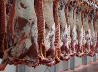 Chile levantó suspensión a Argentina para importar carne vacuna de la Patagonia