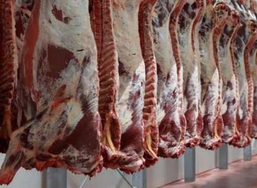 Chile levantó suspensión a Argentina para importar carne vacuna de la Patagonia