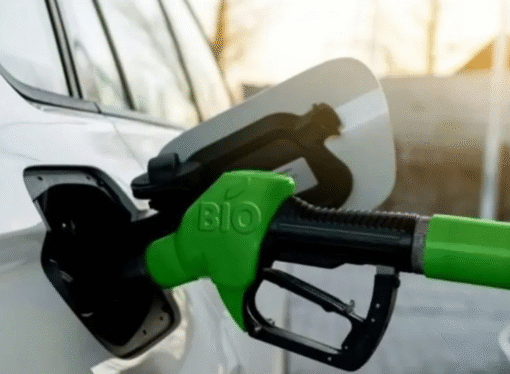 Biocombustibles: el Gobierno actualizó los precios con subas del 3% para el bioetanol y 6% para el biodiésel
