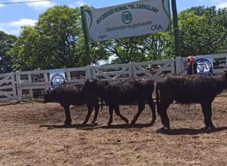 Los búfalos siguen dando la nota en el NEA y lo demostraron en la Expo de Chaco