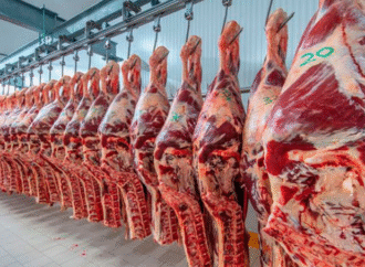 Se redujeron los dólares ingresados por exportaciones de carne en octubre, pero el saldo anual sigue positivo