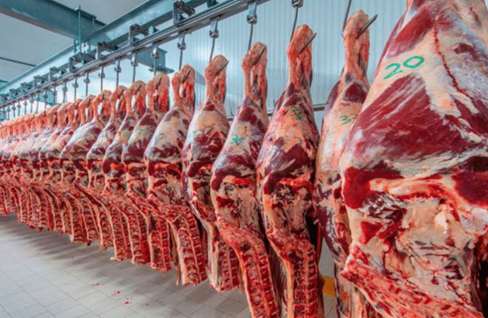 Se redujeron los dólares ingresados por exportaciones de carne en octubre, pero el saldo anual sigue positivo