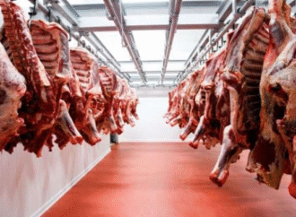 Exportaciones de carne vacuna caen en volumen y monto en octubre