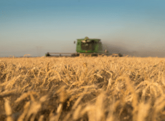 Más dólares del campo: la estimación de cosecha de trigo volvió a subir y llega a 25,5 millones de toneladas