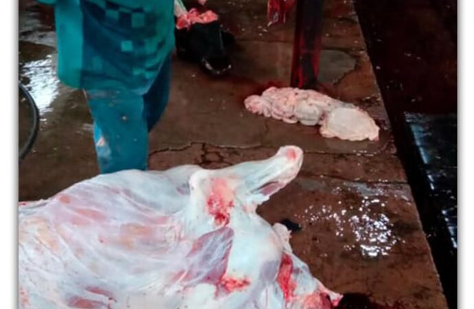 Senador nacional denuncia penalmente existencia de mataderos ilegales en Formosa