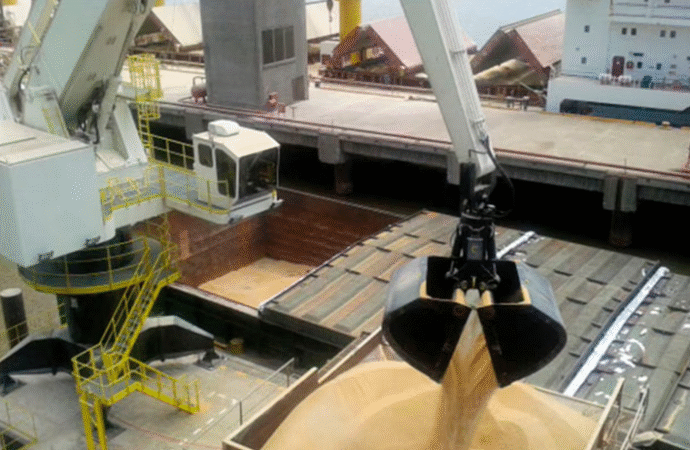 La actividad agropecuaria creció 4% interanual en octubre