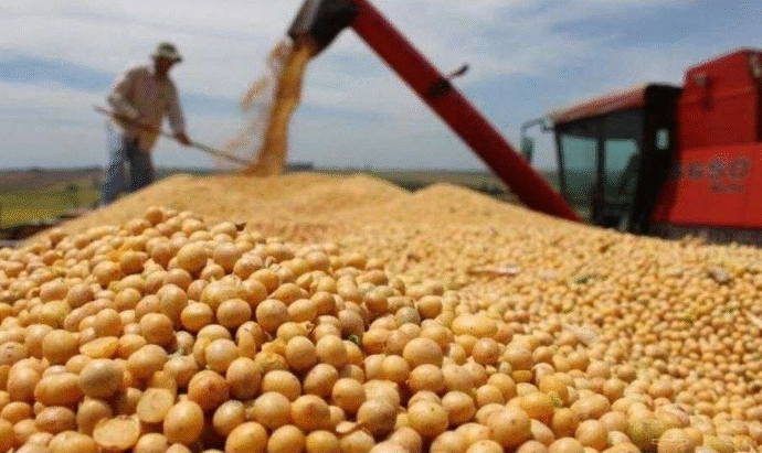 Las agroexportaciones cayeron en octubre más del 50% producto del anticipo por retenciones cero de fines de septiembre