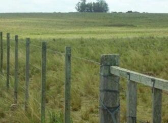 Corrientes hace punta con una reforma tributaria para el campo