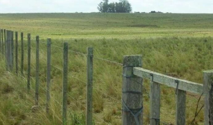 Corrientes hace punta con una reforma tributaria para el campo