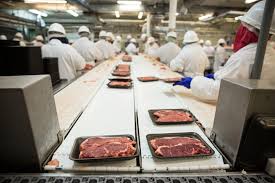 Martín Olaverry: “Si Argentina cuadriplica las exportaciones de carne con Estados Unidos el beneficio neto sería de USD 230 millones anuales”