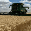La cosecha de trigo avanza y se consolida una campaña histórica: un récord de 24,5 millones de toneladas