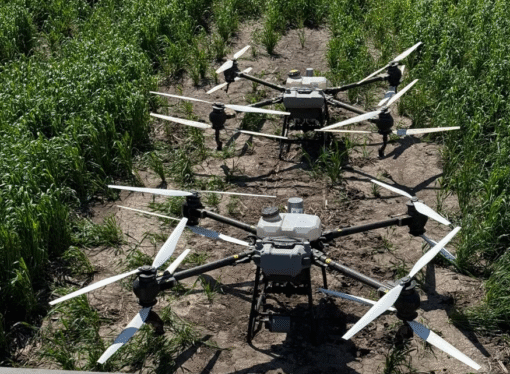 “No pisás el cultivo y no te sobra ni un litro”: en Entre Ríos, incorporó drones y elevó la productividad