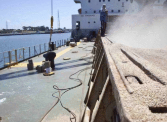 Las exportaciones argentinas sumaron US$2398 millones impulsadas por subas de hasta 357% en productos premium