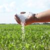 Los fertilizantes están en fase alcista y ponen en jaque la rentabilidad de los cereales