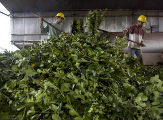 El Instituto Nacional de la Yerba Mate ya no podrá regular el precio que se le paga a los productores