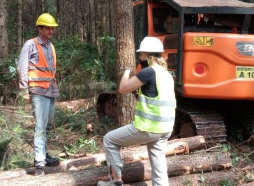 Pedido de la industria forestal: que no se vuelva atrás con la importación de maquinaria usada