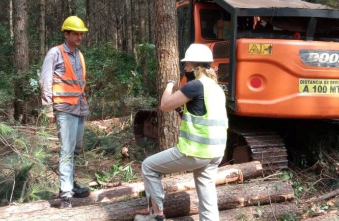 Pedido de la industria forestal: que no se vuelva atrás con la importación de maquinaria usada