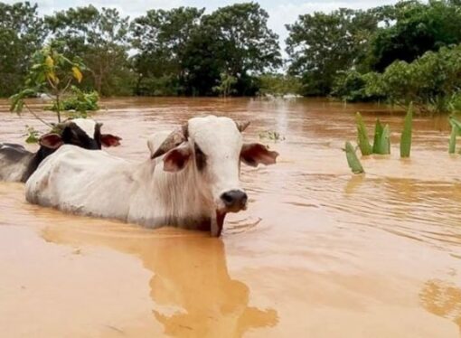La Mesa de Enlace pidió obras de infraestructura ante inundaciones