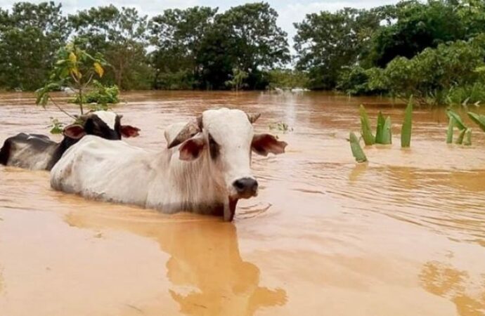 La Mesa de Enlace pidió obras de infraestructura ante inundaciones