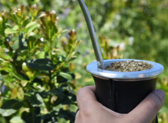 Matear, la fiesta del mate argentino