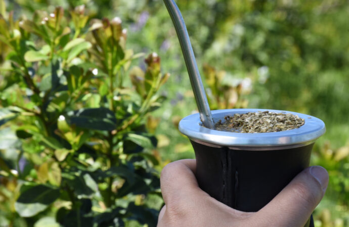 Matear, la fiesta del mate argentino