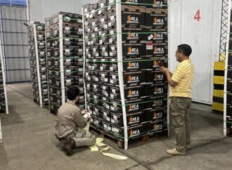 Las naranjas de Entre Ríos desembarcan en un nuevo mercado de exportación: Ecuador