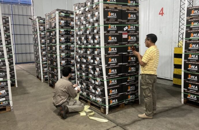 Las naranjas de Entre Ríos desembarcan en un nuevo mercado de exportación: Ecuador